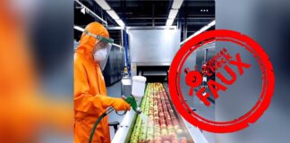 Attention, cette vidéo de pommes prétendument peintes pour les supermarchés est fabriquée