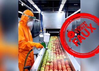 Attention, cette vidéo de pommes prétendument peintes pour les supermarchés est fabriquée