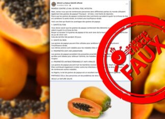 Faux : Les graines de papaye ne guérissent ni la cirrhose ni l’insuffisance rénale