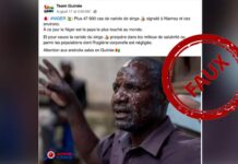 FAUX : Aucun cas de Mpox n’a été signalé au Niger