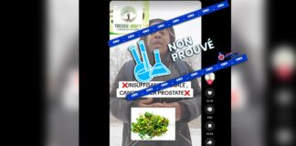 Aucune preuve scientifique ne confirme que l’aubergine sauvage guérit le cancer de la prostate et l’insuffisance rénale