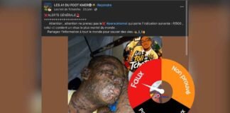 Faux : le paracétamol « P/500 » ne contient aucun virus mortel