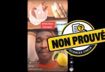 Attention, le mélange eau, citron et maïs n’est pas prouvé contre les infections urinaires